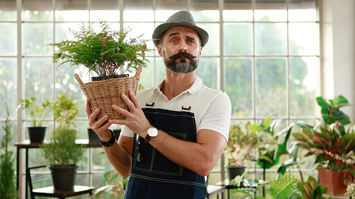 Balkon und Terrasse.